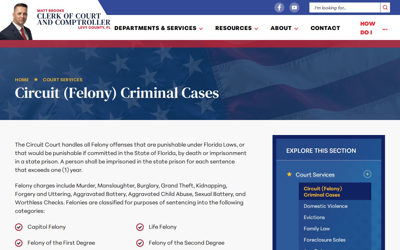 Levy Clerk circuit felony criminal cases information